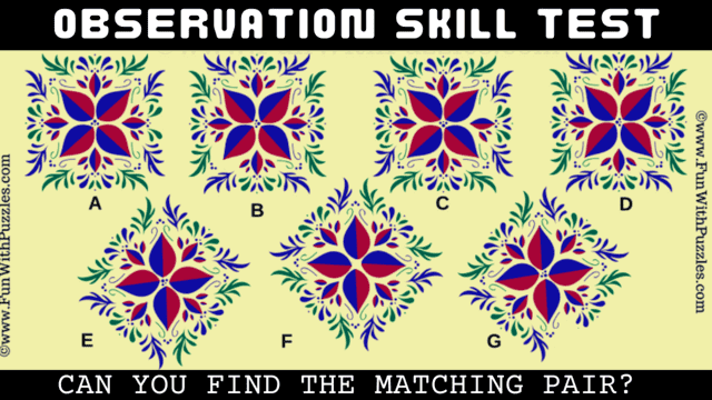 Matching Pairs | Observation Skills Test