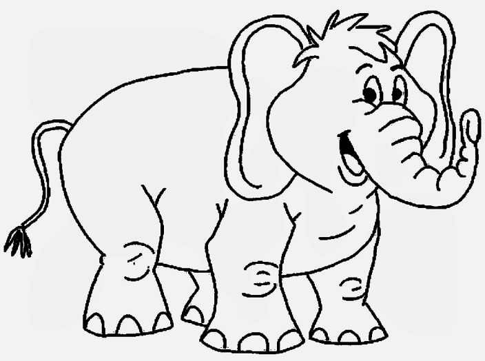 12 Sketsa Gambar  Mewarnai Binatang Gajah 