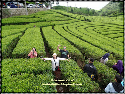 Ciwidey , Bandung Indonesia