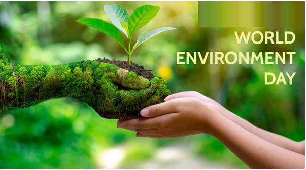 2021 World Environment Day Hosted by Pakistan