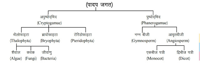 For - RRB, NTPC, SSC, GROUP - D, BANK etc.