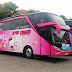 Foto Bis Kym Trans New Jetbus HD Pink