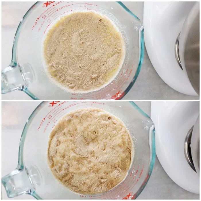 yeast before and after