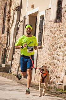  Media Maratón de León