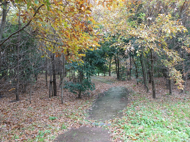 むきばんだ史跡公園の虫の森