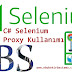 C# Selenium 4 Eklenti ve Proxy Kullanımı | Ebubekir Bastama