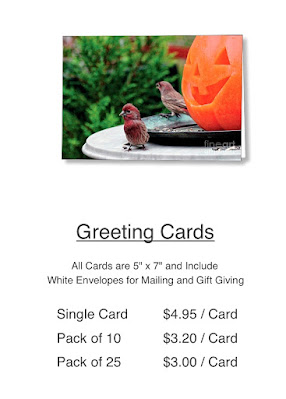 This is a picture of  the price listing for the Halloween card featured in the previous image. As I daid in that alt text, I designed. It features a Jack-O-Lantern sitting atop a table in my garden. This Jack is "smiling" at a male house finch. The card is available via Fine Art America. https://fineartamerica.com/featured/house-finches-trick-or-treating-patricia-youngquist.html