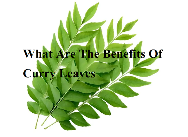 What Are The Benefits Of Curry Leaves