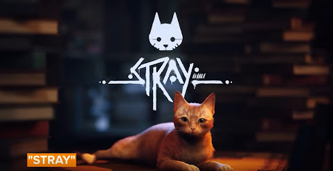 le personnage principal du jeu vidéo Stray