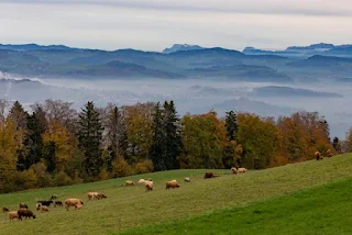 Het adembenemende uitzicht op Bern vanuit de Gurten