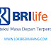 Loker BRI Life Semarang Terbaru Februari 2024