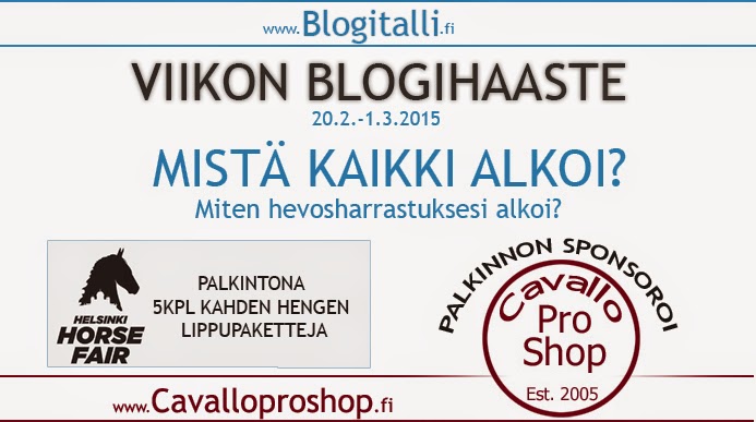 http://toimitus.blogitalli.fi/2015/02/viikon-blogihaaste-mista-kaikki-alkoi.html
