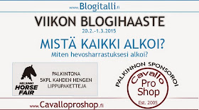 http://toimitus.blogitalli.fi/2015/02/viikon-blogihaaste-mista-kaikki-alkoi.html