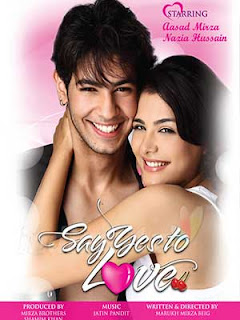 Say-Yes-to-Love-%282012%29--hin