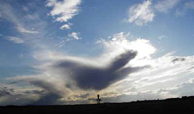 Clouds That Look Like