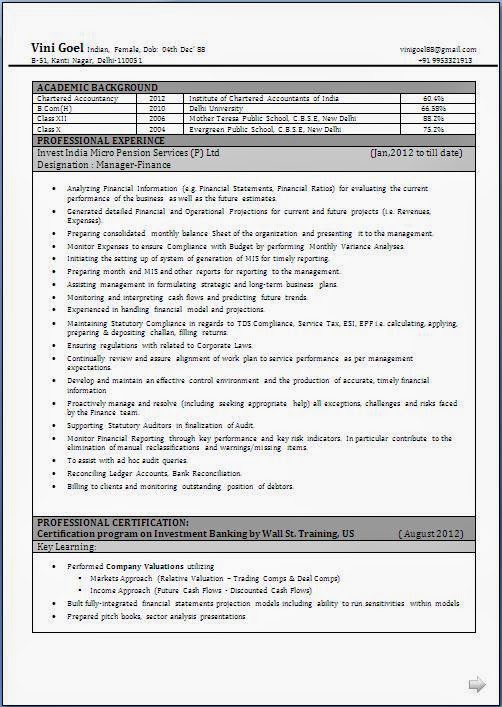 Professional CV Format for Experienced