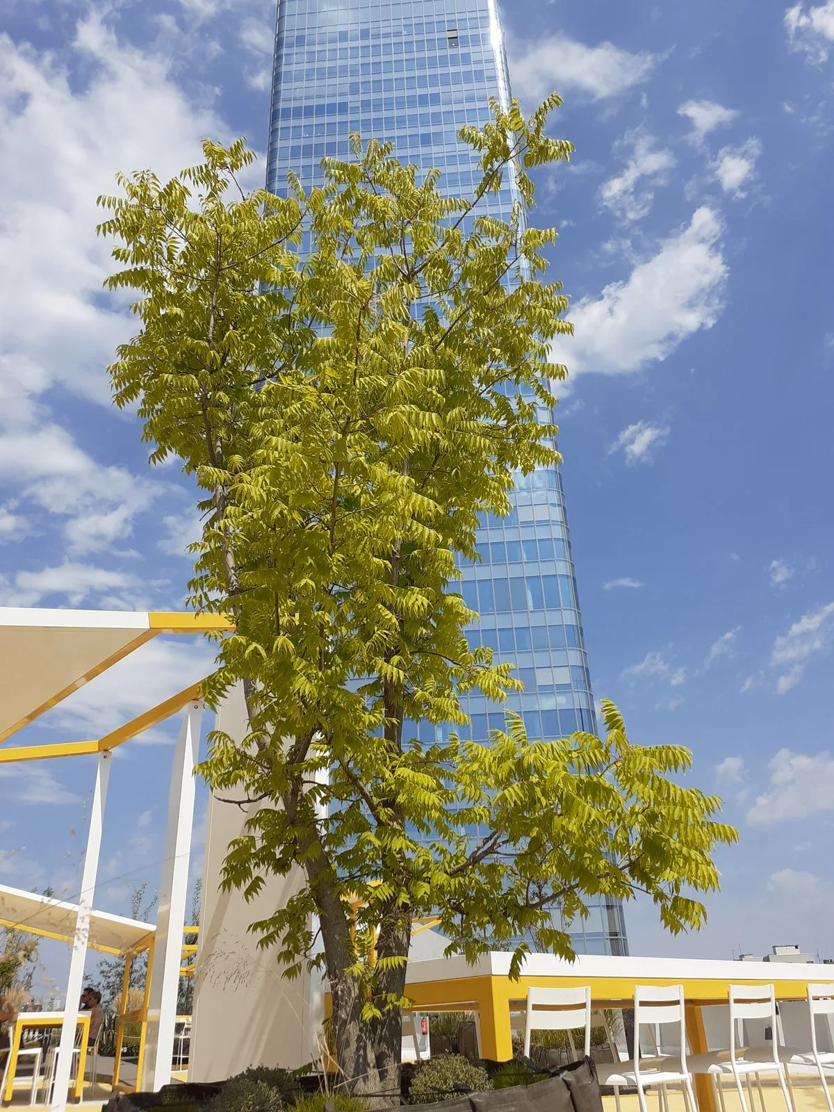 parking toit terrasse lyon halles part dieu