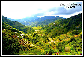 banaue+rice+terraces+Ifugao.jpg