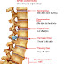 Bệnh phồng lồi đĩa đệm cột sống là gì ?