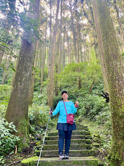 頂石棹步道--雲之道