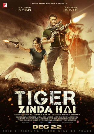 Poster of Tiger Zinda Hai 2017 Full Hindi Movie Download BRRip 1080p Free Watch Online Hd