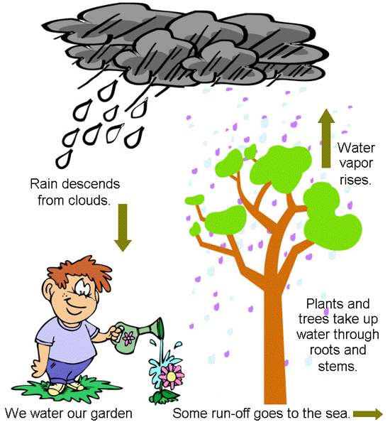 water cycle model for kids