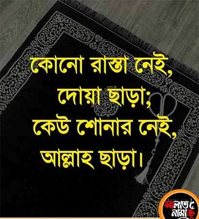 ইসলামিক পিকচার ভিডিও, ইসলামিক ছন্দ পিক, islamic picture hd, islamic sondo pic, ইসলামিক ফটো গ্যালারি, ইসলামিক photo, ইসলামিক ছন্দ পিকচার, islamic profile pictures download , islamic profile picture hd, ইসলামিক উপদেশ, profile picture islamic, ইসলামিক ছবি বাংলা, ইসলামিক স্ট্যাটাস পিকচার ডাউনলোড, ইসলামিক ফটো ডাউনলোড , ইসলামিক ফটো, ইসলামিক ফটো পিকচার, ইসলামিক উপদেশ পিকচার | ইসলামিক পিকচার নতুন, ইসলামিক ছবি, ইসলামিক আরবি পিকচার, ইসলামিক ছবি hd, ইসলামিক ছবি ডাউনলোড, ইসলামিক সুন্দর ছবি, ইসলামিক পিকচার download, ইসলামিক পিকচার ছবি, ইসলামিক পিকচার ডাউনলোড, নতুন ইসলামিক পিকচার, ইসলামিক মানুষের ছবি, ইসলামিক প্রোফাইল পিকচার hd, ইসলামিক সুন্দর পিকচার, পিকচার ইসলামিক ছবি, ইসলামিক পিকচার, ইসলামিক পিকচার ২০২৪, ইসলামিক প্রোফাইল পিকচার