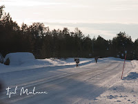 inari, ivalo, Sevettijarvi, kuzey ışıkları, Aurora Borealis, Laponya, Finlandiya, gezi blog