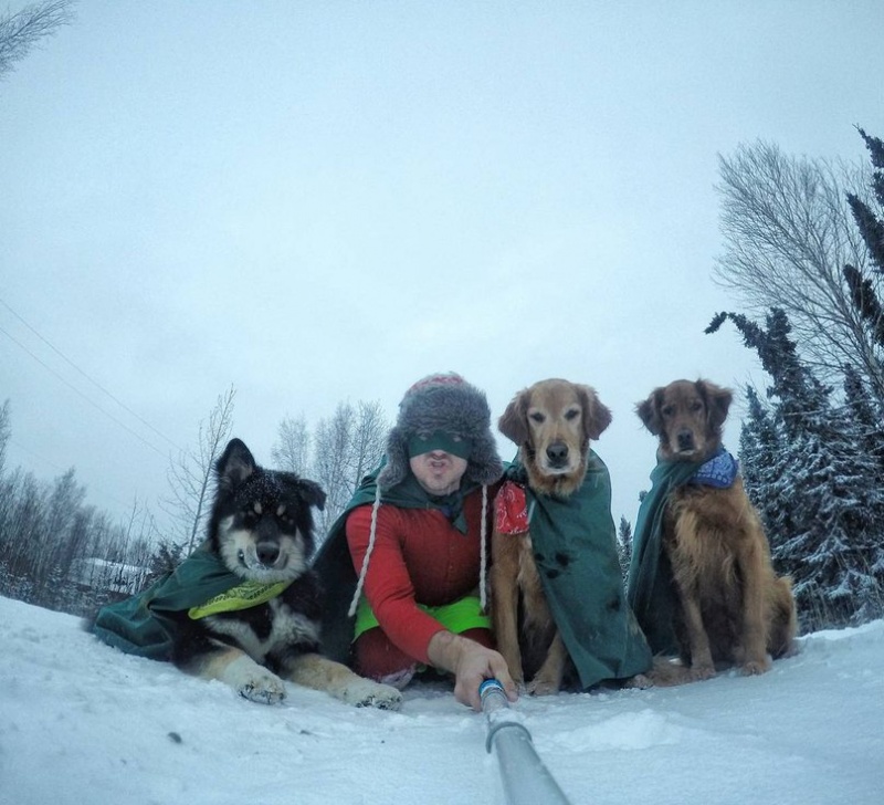 dentist from alaska and cutest dogs won the internet