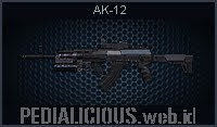 AK-12