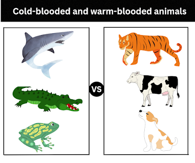 Cold-blooded and Warm-blooded animals