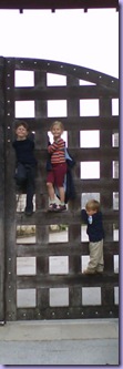 mini_DSC00880