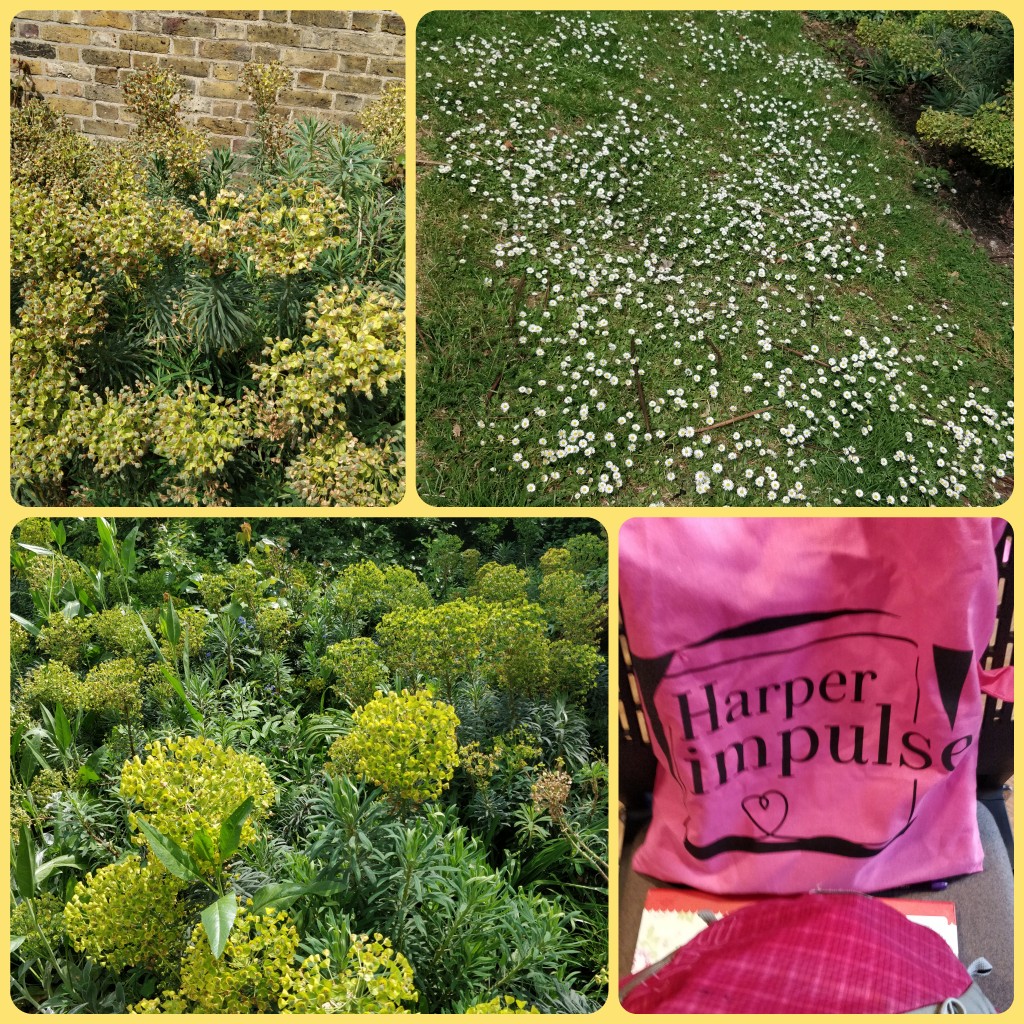 pictures of a public garden and goodie bag