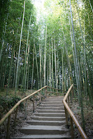Bamboo In Garden2