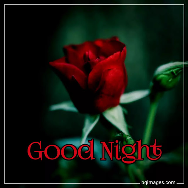 beautiful good night photos download