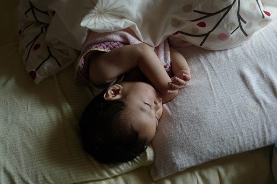 P1130446.jpg