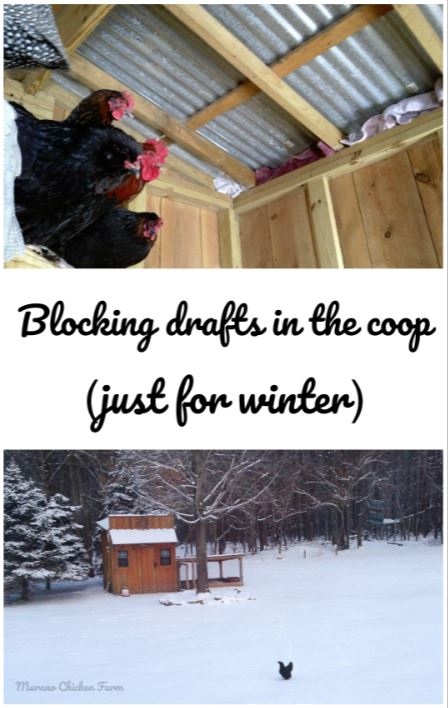 chicken-coop-winter-ventilation-heat-lamp.jpg