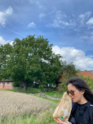 Museo all'aperto Molfsee Pane alle erbette