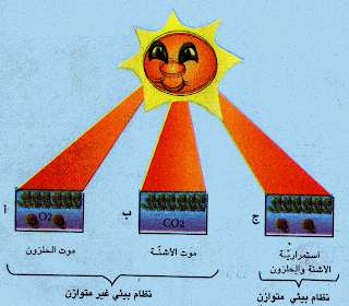 الفرق بين النظام البيئي غير المتوازن