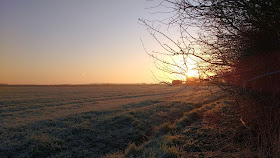 Cold frosty winter mornings in Norfolk countryside