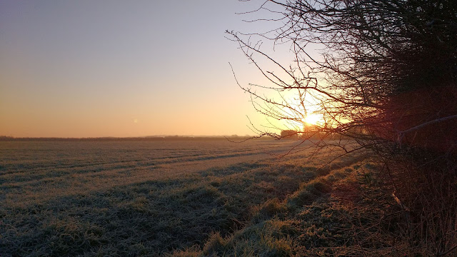 Cold frosty winter mornings in Norfolk countryside