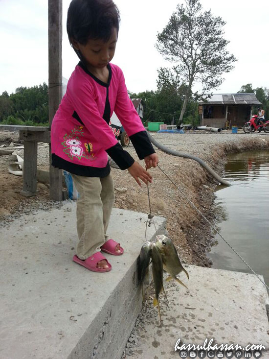 Memancing Bawal Emas Kolam 3 Ringgit di Jugra