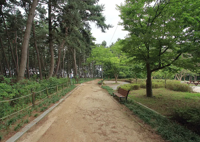 충남 서천 장항오토캠핑장 미리보기