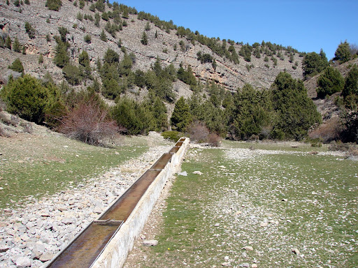 Fuente Cavero