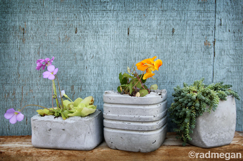 radmegan: in words and pictures: Molded Concrete Planters