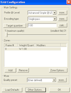 Xvid encoding options