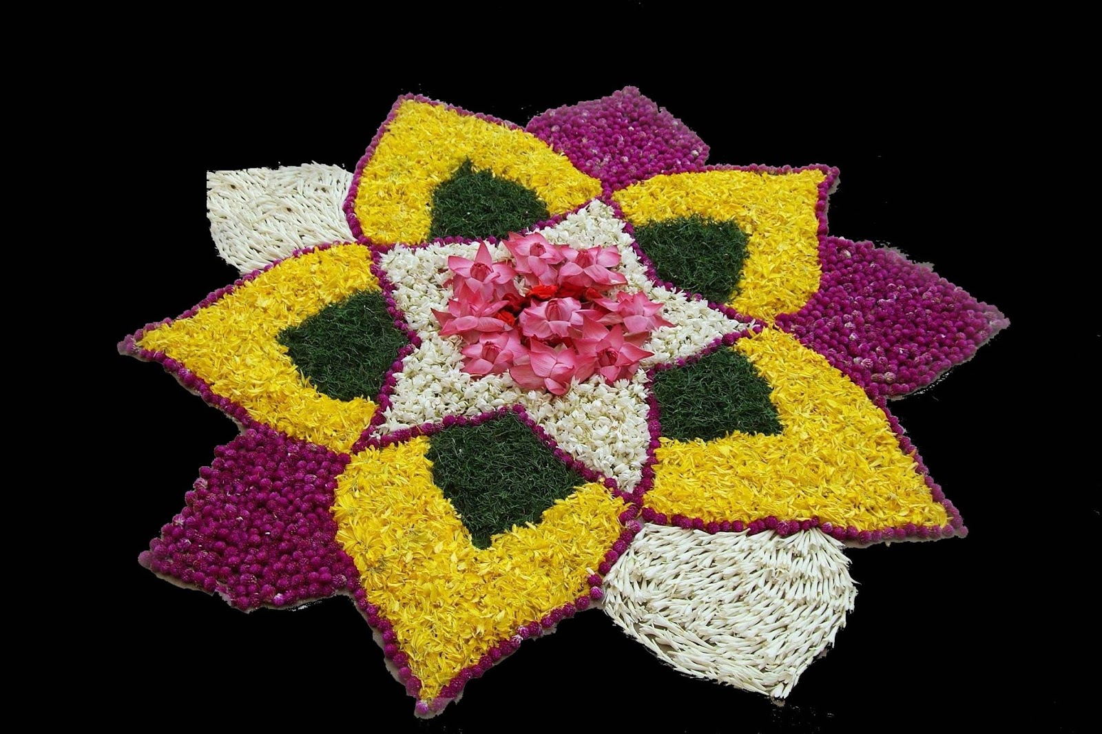 top 20 types of flowers FlowerRangolidiwaliwallpapers | 1600 x 1066