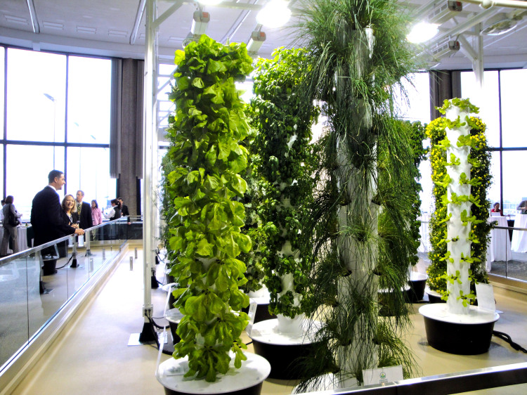 Blue Cheese Nation: Aeroponic Systems, No Dirt, Just Mist ...