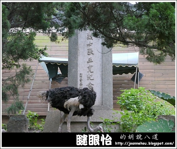 新竹市立動物園60