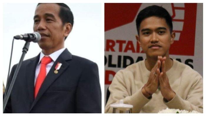 Komentar Kaesang soal PSI Gagal Lolos ke DPR meski Sudah Bawa Nama Jokowi